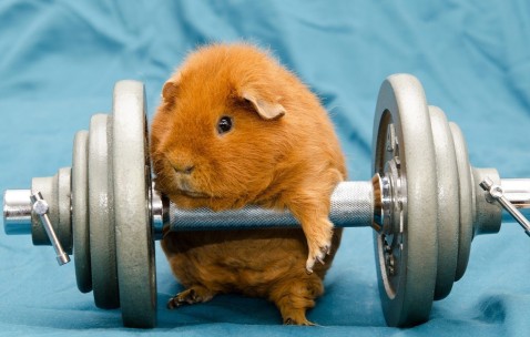 验血查出卵泡（验血查出卵泡正常吗）