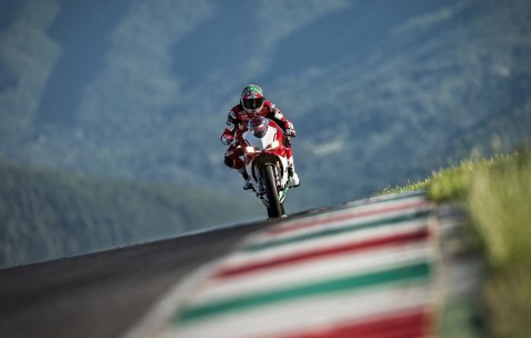 卵泡养好（卵泡养好了黄体功能会变好吗）