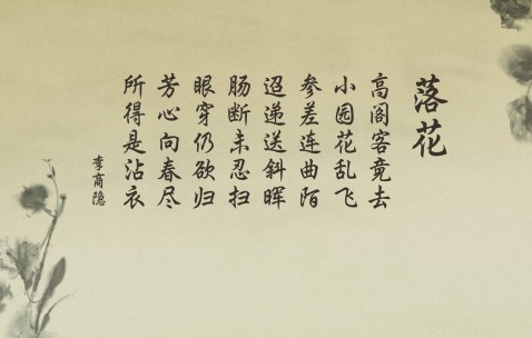 卵泡3a（卵泡3a是什么意思）