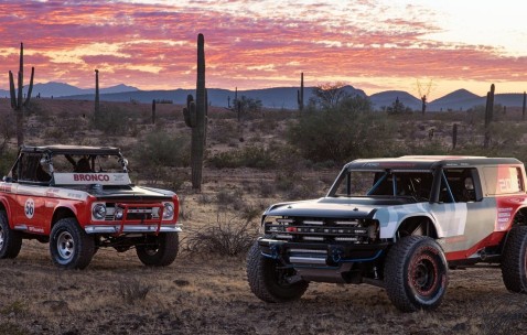 怀孕初期一直发胖怎么办（怀孕初期就发胖是什么原因）