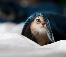 合肥捐卵中介联系方式，试管捐卵助孕攻略参考！