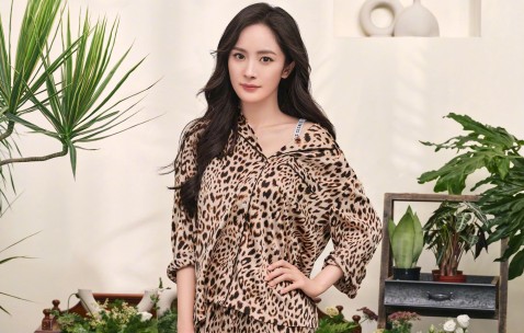 如何增加窦卵泡（如何增加卵泡的质量和数量）