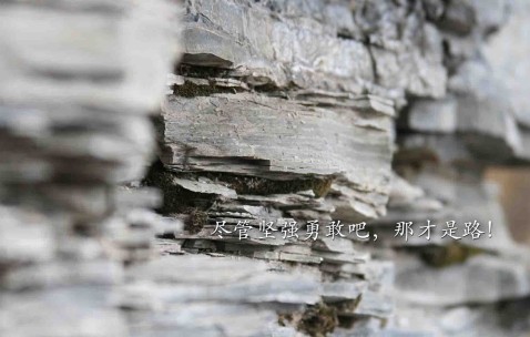 合肥正规民营供卵公司排名公布，附供卵流程与成功率！（安徽供卵公司）