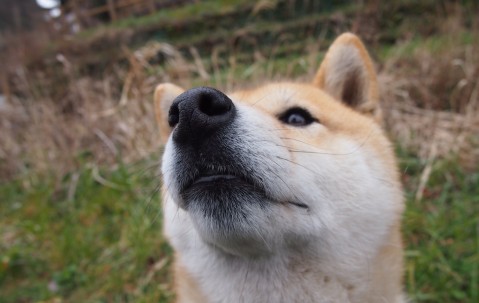 合肥捐卵中介联系方式，附18家生殖中心名单！