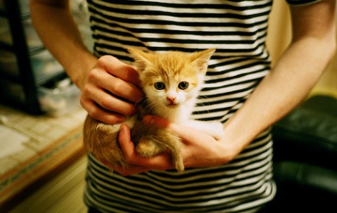 大龄试管成功案例