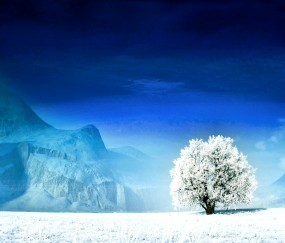 小孩发烧手心脚心冰凉是怎么回事（小孩子发烧手心脚心冰冷）