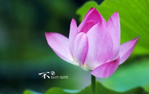 试管成功率跟什么有关（试管的成功率和哪些因素有关）