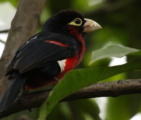 合肥捐卵正规医院，附私立试管机构捐卵价格表！