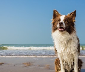 合肥捐卵正规医院，2024三代捐卵机构名单 ！