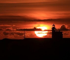 单侧卵泡个数（单侧卵泡个数大于12 但另一侧正常）