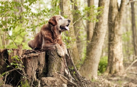 合肥供卵试管医院排名怎么样，符合条件才能进周！（合肥试管哪家医院成功率最高）