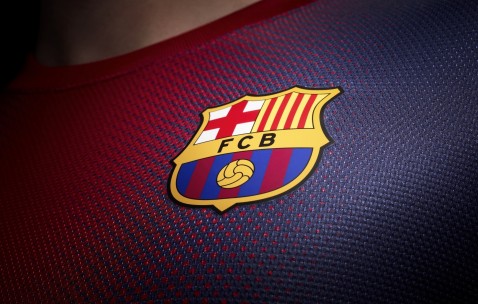 合肥哪里做试管婴儿供卵不用等，高龄借卵生子价格明细！（合肥试管婴儿多少钱一次?）