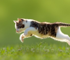 合肥捐卵怎么找正规机构，附正规试管机构大全！