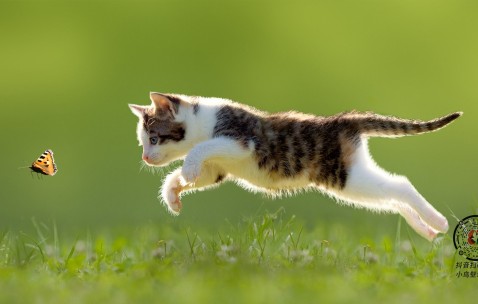 合肥捐卵怎么找正规机构，附正规试管机构大全！