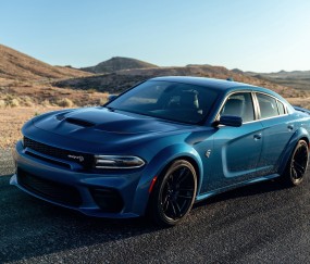 怀孕初期能吃黄甲鱼汤吗（怀孕初期可以吃黄甲鱼汤吗）