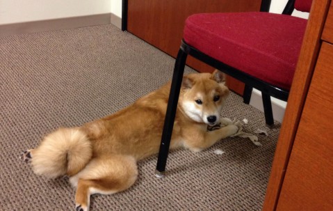 合肥可以捐卵的医院，附最新不排队供卵机构名单！