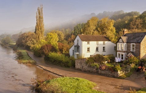 弱阳卵泡多大（卵泡弱阳性大概多久转阳性）