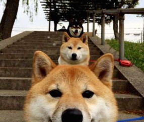 合肥捐卵怎么找正规机构，最大的捐卵私立机构推荐！