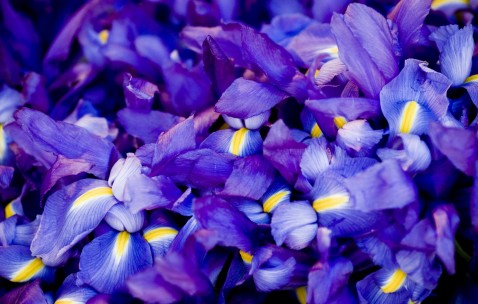 合肥可以捐卵的医院，靠谱捐卵试管机构top3！