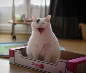 音乐胎教时宝宝的反应