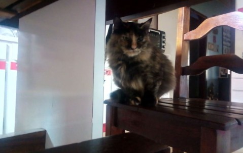 合肥最新正规供卵医院排行榜，附2024成功率最高的供卵试管机构名单！的简单介绍