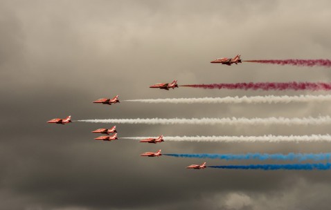 排卵泡检测（监测卵泡报告单怎么看排卵了）