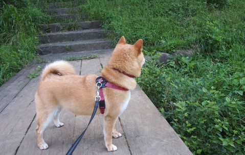 合肥靠谱的捐卵机构，2024捐卵代怀生子机构一览！