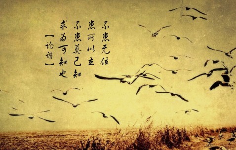 怀孕初期吃什食物最好（怀孕初期吃什食物最好呢）