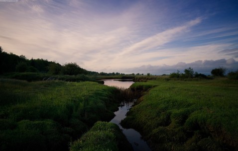 怀孕初期宫内有出血现象（孕早期宫内有点出血）