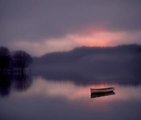 排卵多卵泡小（卵泡多且小）