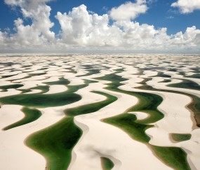 有挤压卵泡（挤压排卵）