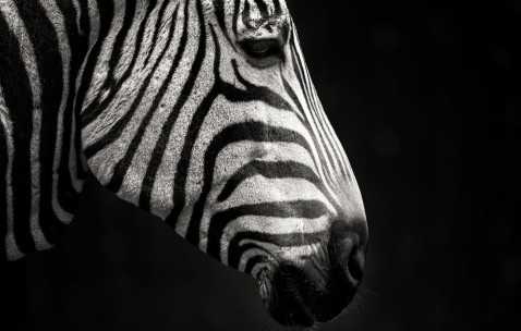 怀孕初期肚子左侧会不舒服吗（怀孕初期肚子左侧会疼吗）