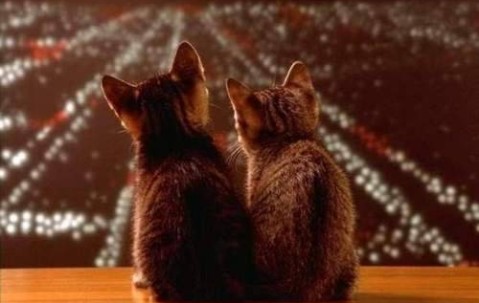 怀孕初期吃大蒜吗（怀孕初期吃大蒜吗会流产吗）