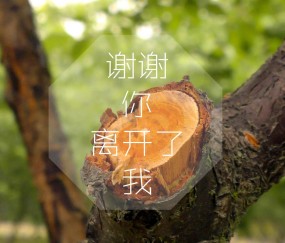 怀孕初期心里慌怎么回事（怀孕初期为什么心里慌慌的）