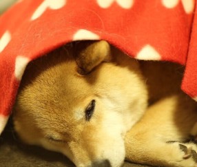 合肥捐卵怎么找正规机构，附最新捐卵生子费用表！