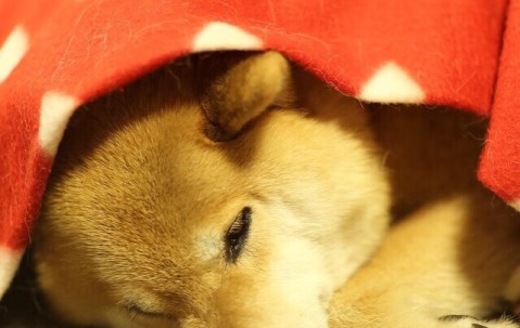 合肥捐卵怎么找正规机构，附最新捐卵生子费用表！