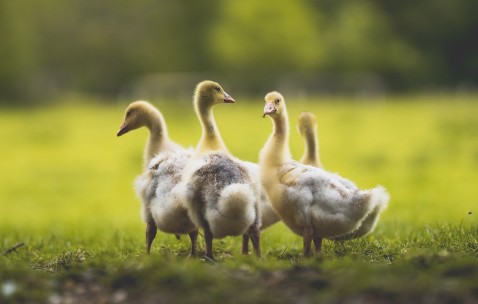 合肥捐卵助孕机构有哪些，共10家医院最新排名参考！