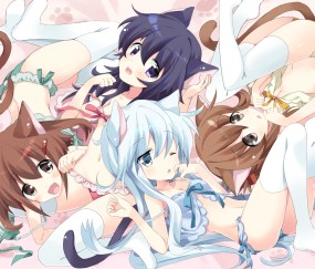 大卵泡病（大傻卵泡）