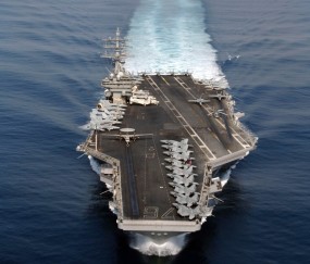 卵泡动力学（卵泡移动）