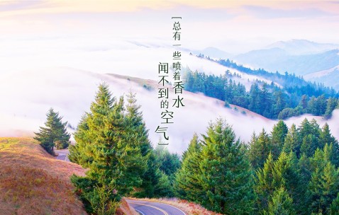 怀孕了什么时候才来月经