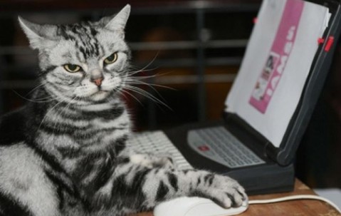 怀孕初期下体会有血水流出吗（怀孕初期下体会有血水流出吗正常吗）