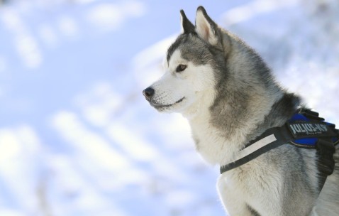 合肥捐卵助孕机构，正规机构捐卵榜单top5！