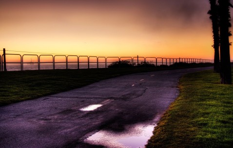 卵泡动图男（卵泡图片大全大图）
