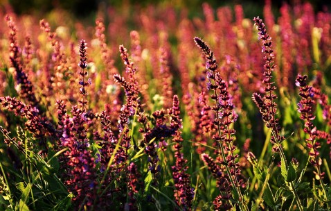 合肥正规供卵试管医院盘点，符合条件才能进周！（合肥有没有做试管婴儿的医院）