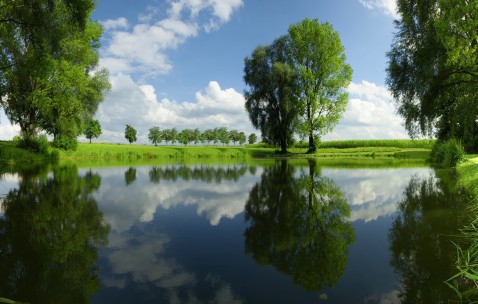 合肥捐卵助孕机构，附捐卵机构名单一览！