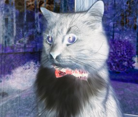 合肥捐卵怎么找正规机构，附正规捐卵机构报名表！