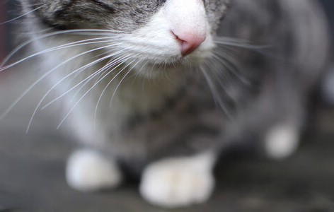 合肥捐卵中介联系方式，附合肥借卵生子知识一览！