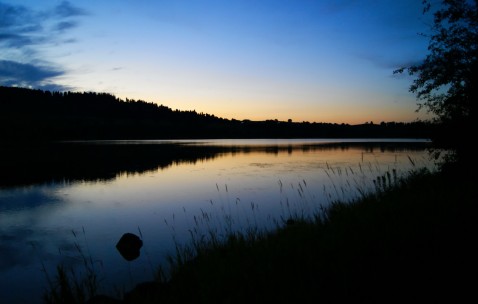 卵泡和黏膜（卵泡跟内膜一起长大）