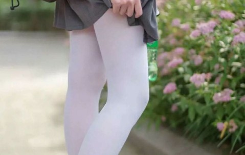 内见几个卵泡（其内可见多个卵泡）