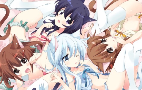 合肥哪个捐卵机构好，附正规捐卵机构报名表！